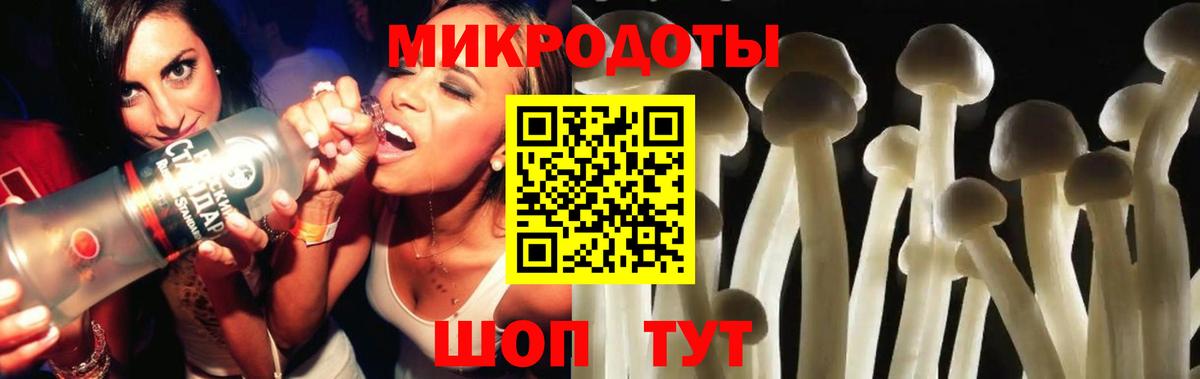 Псилоцибиновые грибы прущие грибы Усть-Джегута