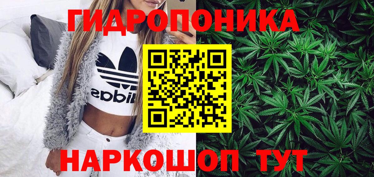 Конопля семена  Вход с VPN  Усть-Джегута  Шишки марихуана OG Kush  Канабис MAZAR 
